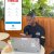 Capitec